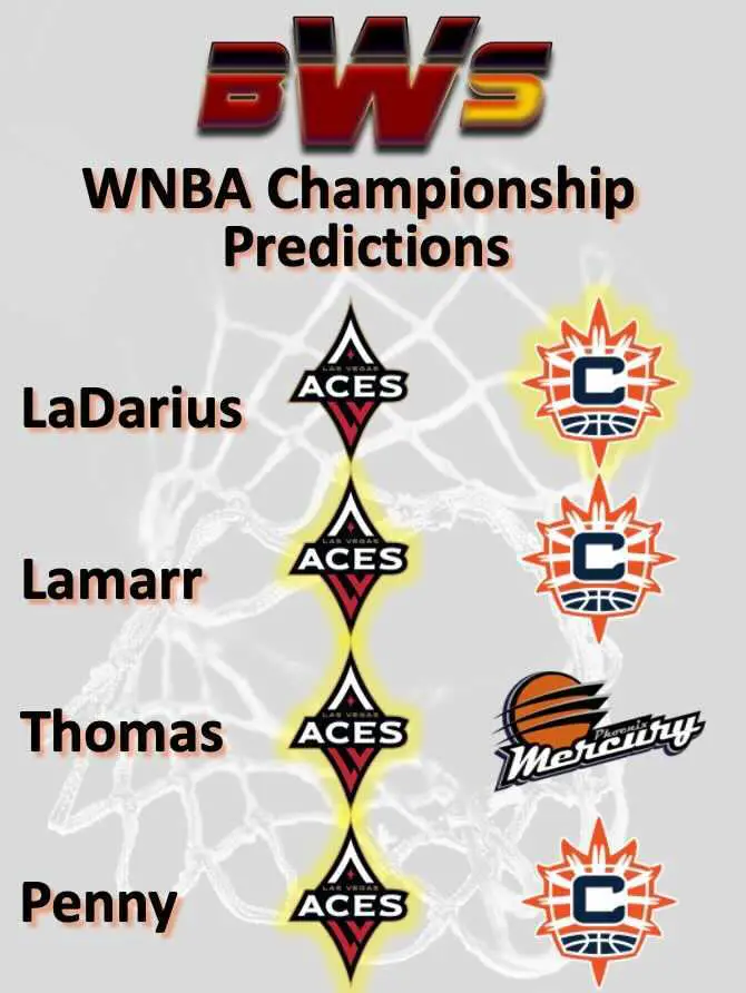 WNBA playoffs